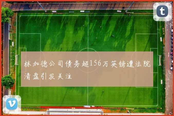 林加德公司债务超156万英镑遭法院清盘引发关注