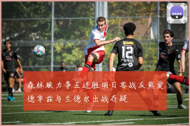 森林狼力争五连胜明日客战灰熊爱德华兹与兰德尔出战存疑