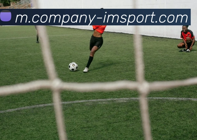 IM体育APP 封面图